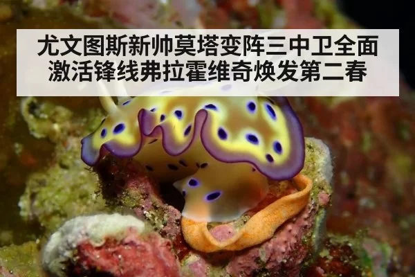 尤文图斯新帅莫塔变阵三中卫全面激活锋线弗拉霍维奇焕发第二春
