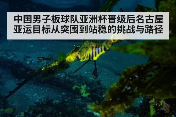 中国男子板球队亚洲杯晋级后名古屋亚运目标从突围到站稳的挑战与路径